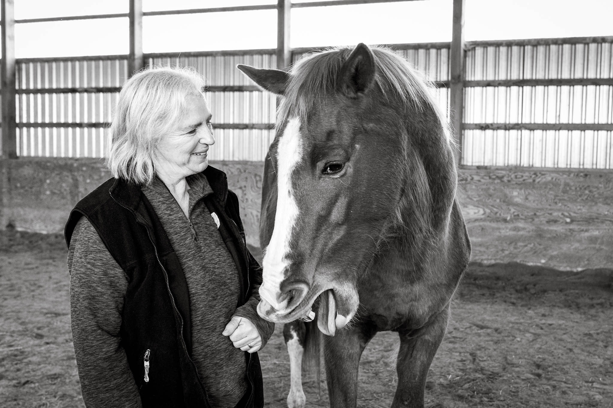 B&W HorseSense-138