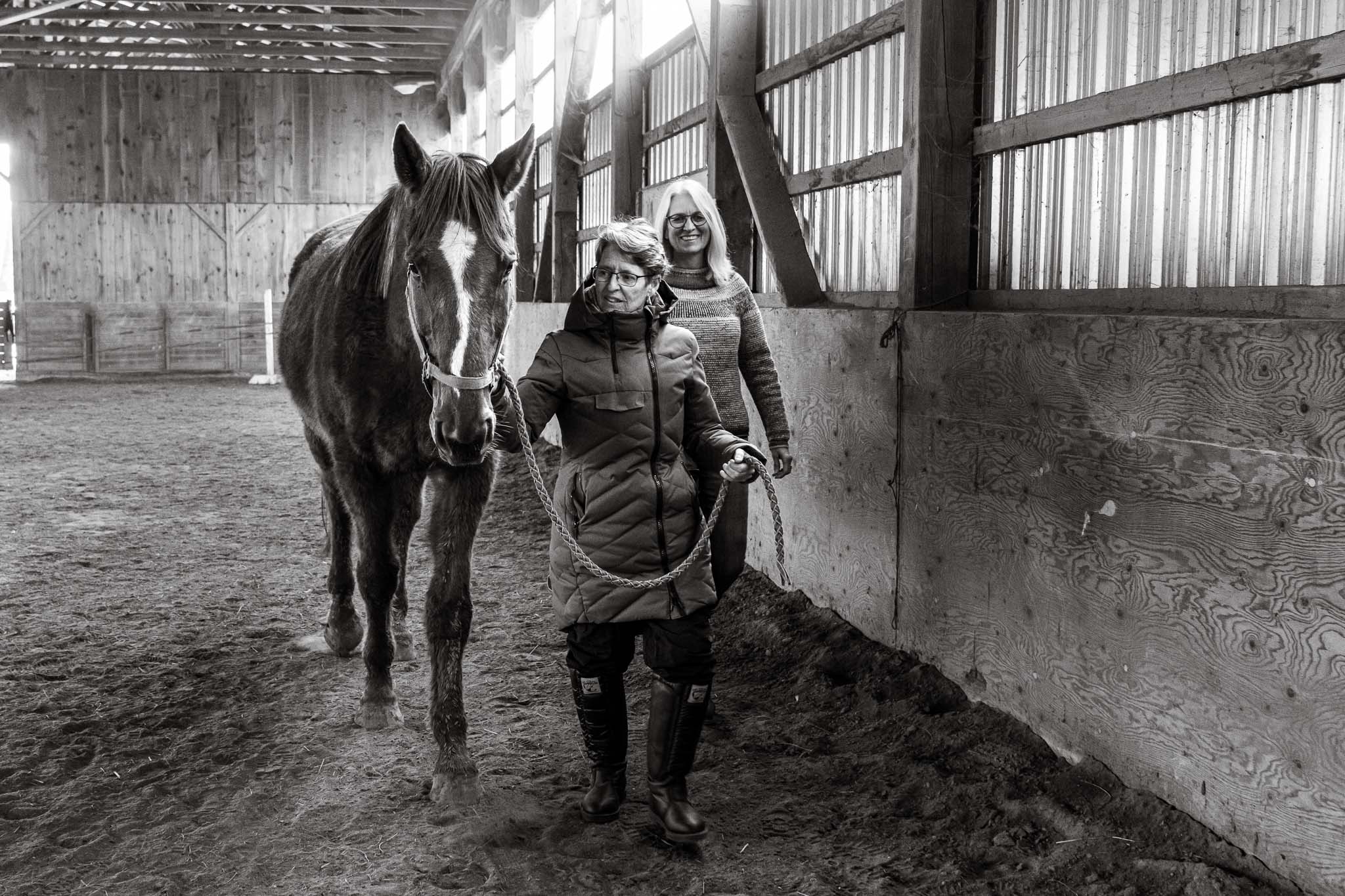 B&W HorseSense-49