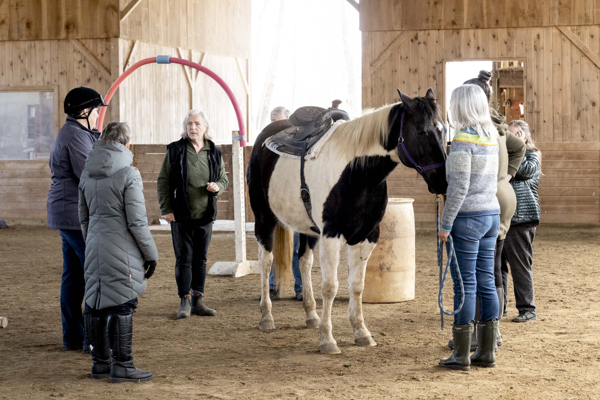 HorseSense-125