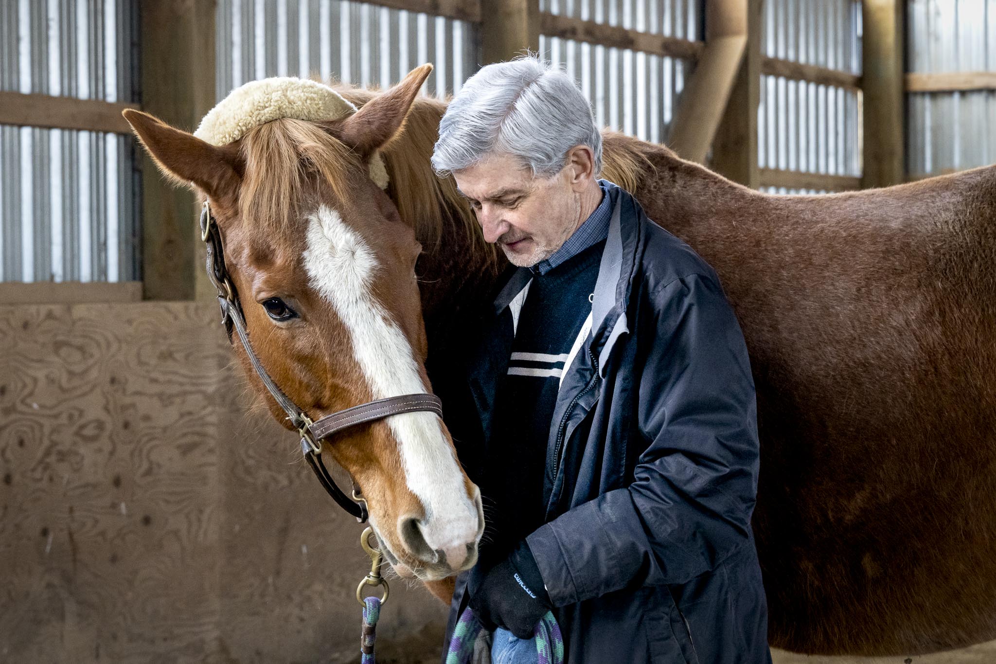 HorseSense-46